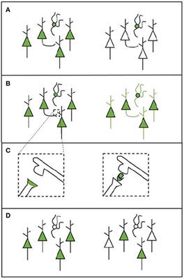 Connectomic Analysis of Brain Networks: Novel Techniques and Future Directions